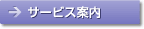 �T�[�r�X�ē�